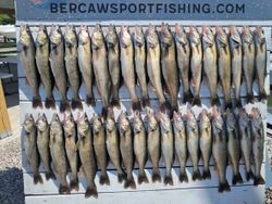 Large catch of freshly caught fish displayed on cleaning station in Port Clinton OH