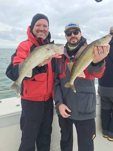 Two walleye caught during fishing trip in Port Clinton OH