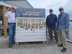 Impressive walleye fishing catch displayed on cleaning station at Port Clinton OH charter service