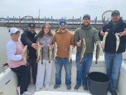 Successful walleye fishing trip in Port Clinton OH with fresh catch displayed on boat