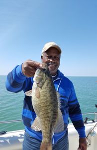 Smallmouth Bass fish caught in OH