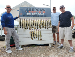 3 small freshwater fish being caught in OH