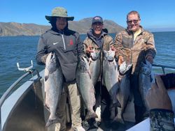6 pink salmon caught in Richmond