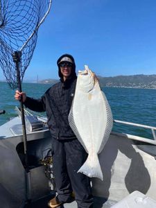 A single angler fishing in California