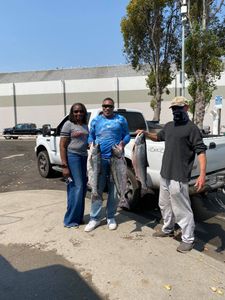 Three anglers with a catch of three big fish in CA