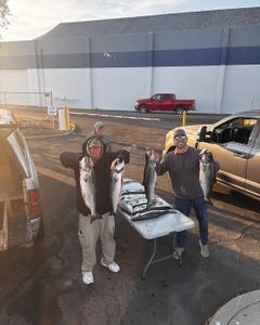 3 Chinook Salmon and Bluefish caught while fishing in California