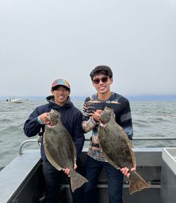Two California flounder caught during fishing trip in Richmond CA