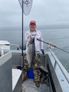 One chinook salmon caught fishing in CA