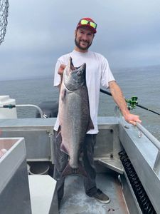 Chinook salmon, 30 inches, caught fishing in CA