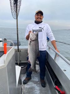 Chinook Salmon caught fishing in Richmond