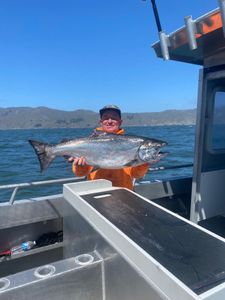 Chinook Salmon caught in Richmond