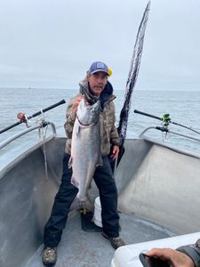 Chinook Salmon, 28 inch fish caught while fishing in Richmond