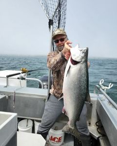 Coho salmon being caught while fishing in CA