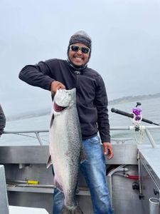 A fisherman holding a large rainbow trout in Richmond