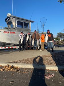 2 big fish caught while fishing in Richmond