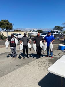 Four California Flounders caught in Richmond, California