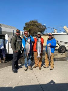 3 big fish caught in CA while fishing