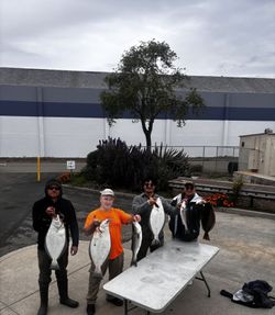 Successful fishing trip in Richmond CA showing California Flounder and Striped Bass catch