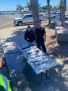 Two big fish caught by three people in Richmond