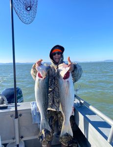 Two striped bass caught in Richmond, Virginia