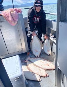 Three winter flounder, 20 inches long, caught in CA
