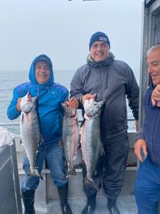 Three big fish caught in Richmond, VA