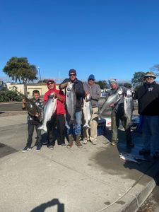 Two large fish caught by six anglers in Richmond