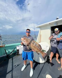 Black Grouper caught while fishing in Fort Lauderdale