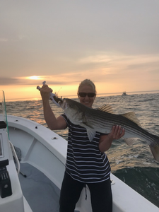 Striped bass caught in NY