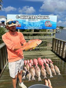 7 fish caught on a fishing trip in FL