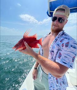 Angler fishing in FL