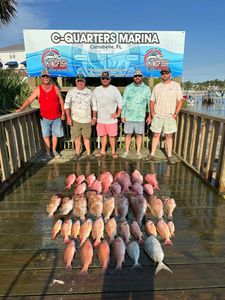 5 people fishing in FL