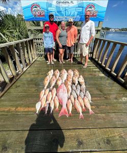 Three fish caught during a fishing trip in Carrabelle