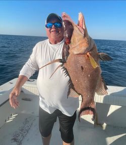 Large hogfish caught while fishing in Carrabelle FL waters