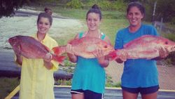 3 big fish caught while fishing in FL