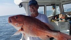 One big fish caught with fishing gear in Carrabelle