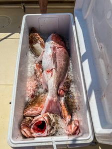 Fishing in FL