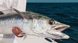 Fishing in Florida