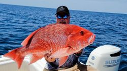 Angler fishing in Florida