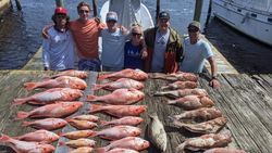 Three large fish caught in Florida