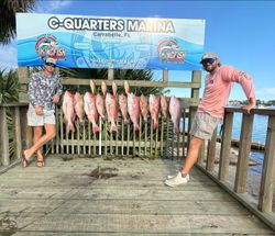 Five fish caught while fishing in Carrabelle