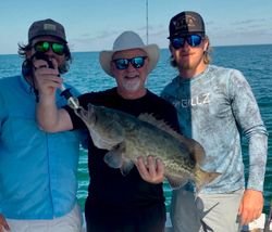 Gag grouper catch displayed on fishing boat in Carrabelle FL waters