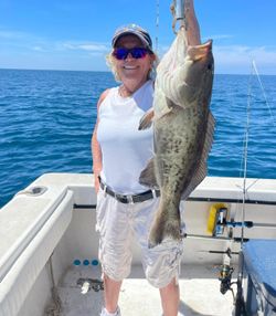 Gag grouper catch displayed on fishing boat in Carrabelle FL