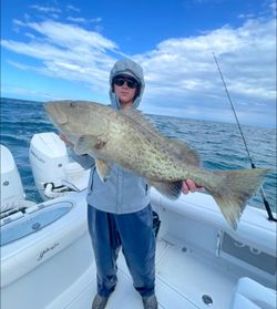 Gag grouper caught fishing in Carrabelle FL waters