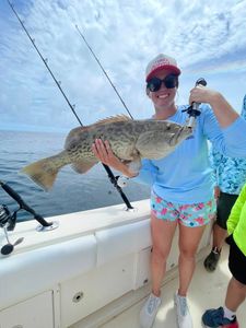 Gag grouper caught fishing in Carrabelle FL on boat
