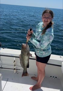 A gag grouper fish caught in FL