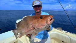 Grey Snapper, a 24-inch fish caught while fishing in Carrabelle