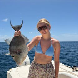 Grey triggerfish caught fishing in Carrabelle FL waters displayed on boat deck