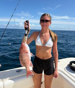 Red snapper catch on fishing boat in Carrabelle FL waters