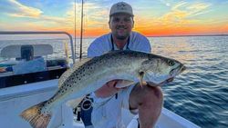 Spotted Weakfish caught in Carrabelle, Florida during fishing